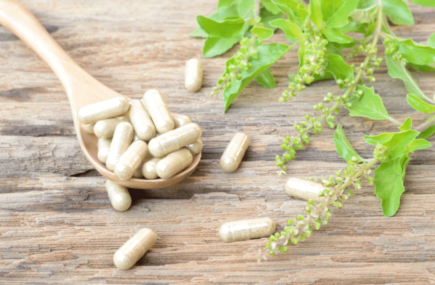 Herbal Remedies — Nature’s Answer to Modern Illness